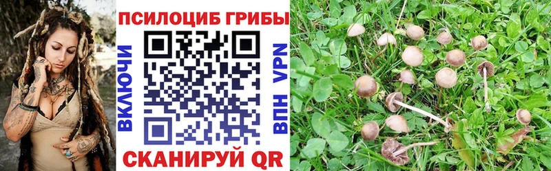 купить Сысерть Галлюциногенные грибы MAGIC MUSHROOMS